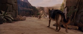 Movie still from “Beverly Hills Chihuahua” (2008), directed by Raja Gosnell – A couple of dogs standing on top of a dirt field; Wide shot, High angle