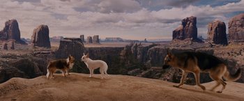 Movie still from “Beverly Hills Chihuahua” (2008), directed by Raja Gosnell – A dog standing on top of a hill next to two other dogs; Wide shot, High angle