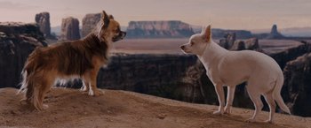 Movie still from “Beverly Hills Chihuahua” (2008), directed by Raja Gosnell – Two small dogs standing next to each other on top of a hill; Wide shot, High angle