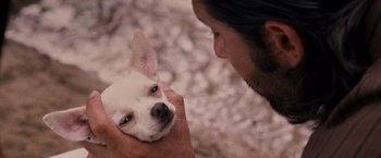 Movie still from “Beverly Hills Chihuahua” (2008), directed by Raja Gosnell – A man holding a small white dog in his hands; Close Up shot, Over the shoulder angle