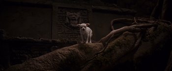 Movie still from “Beverly Hills Chihuahua” (2008), directed by Raja Gosnell – A small white dog standing on top of a rock; Wide shot, High angle