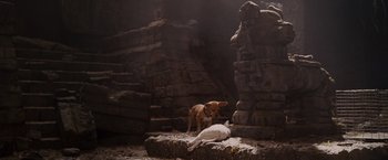 Movie still from “Beverly Hills Chihuahua” (2008), directed by Raja Gosnell – A cat and a dog are sitting on the rocks; Wide shot, High angle