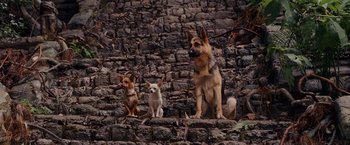 Movie still from “Beverly Hills Chihuahua” (2008), directed by Raja Gosnell – Two dogs and a puppy sitting on a stone wall; Wide shot, High angle