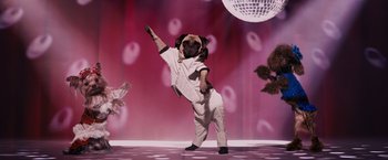 Movie still from “Beverly Hills Chihuahua” (2008), directed by Raja Gosnell – A dog dressed as a person dancing on a stage; Wide shot, Low angle