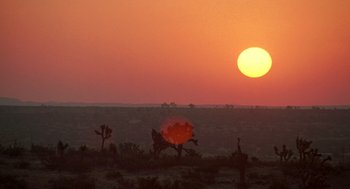 Movie still from “Bio-Dome” (1996), directed by Jason Bloom – The sun is setting over the desert with giraffes in the foreground; Extreme Wide shot, Low angle