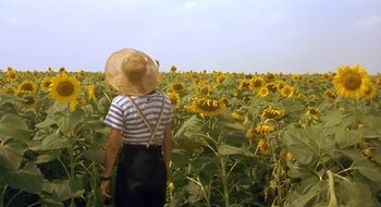 Movie still from “Black Cat, White Cat” (1998), directed by Emir Kusturica – A woman in a straw hat is standing in a field of sunflowers; Wide shot, Low angle
