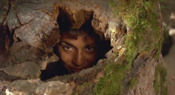 Movie still from “Black Cat, White Cat” (1998), directed by Emir Kusturica – A man peeking through a hole in a tree trunk; Close Up shot, Low angle