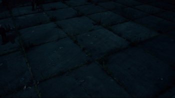 Movie still from “Blindness” (2008), directed by Fernando Meirelles – View of the ground in the dark; Extreme Wide shot, Overhead angle