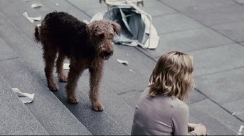 Movie still from “Blindness” (2008), directed by Fernando Meirelles – A woman sitting on the steps with a dog; Wide shot, High angle
