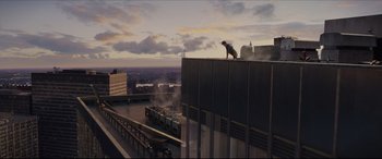 Movie still from “The Amazing Spider-Man” (2012), directed by Marc Webb – A dog standing on top of a building on top of a building; Extreme Wide shot, High angle