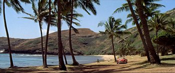 Movie still from “Blue Hawaii” (1961), directed by Norman Taurog – A person standing on a beach near some palm trees; Extreme Wide shot, High angle
