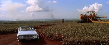 Movie still from “Blue Hawaii” (1961), directed by Norman Taurog – A car driving through a field of pineapples; Extreme Wide shot, High angle