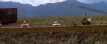 Movie still from “Blue Hawaii” (1961), directed by Norman Taurog – A person in a straw hat riding on top of a boat in the middle of a pineapple field; Extreme Wide shot, High angle