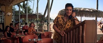 Movie still from “Blue Hawaii” (1961), directed by Norman Taurog – A man and a woman standing in front of a palm tree on the beach; Medium shot, Low angle