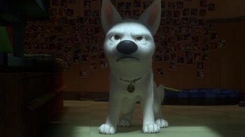 Movie still from “Bolt” (2008), directed by Chris Williams – A white dog with a collar sitting on the floor; Close Up shot, High angle