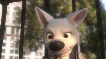 Movie still from “Bolt” (2008), directed by Chris Williams – A white dog is looking through a fence; Close Up shot, High angle
