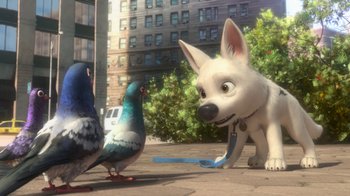 Movie still from “Bolt” (2008), directed by Chris Williams – A dog and two pigeons on a city sidewalk; Wide shot, High angle
