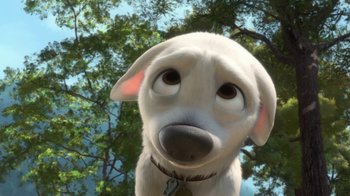 Movie still from “Bolt” (2008), directed by Chris Williams – A white dog is looking up at the camera; Close Up shot, High angle