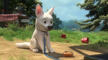 Movie still from “Bolt” (2008), directed by Chris Williams – A dog sitting on the ground with a leash around its neck; Wide shot, High angle