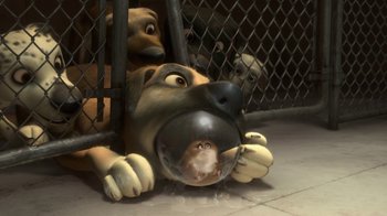Movie still from “Bolt” (2008), directed by Chris Williams – A dog with its head in a ball in a fenced in area; Wide shot, High angle