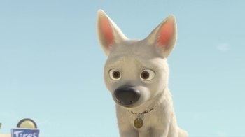 Movie still from “Bolt” (2008), directed by Chris Williams – A dog with a collar and a tag on its neck; Close Up shot, High angle