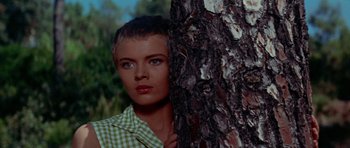 Movie still from “Bonjour Tristesse” (1958), directed by Otto Preminger – A woman standing next to a tree in a forest; Close Up shot, High angle