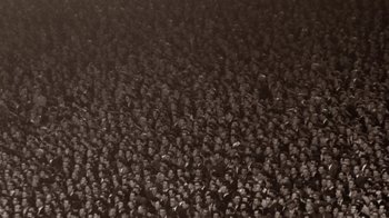 Movie still from “The Beatles: Eight Days a Week - The Touring Years” (2016), directed by Ron Howard – A large crowd of people are gathered in a stadium; Extreme Wide shot, High angle