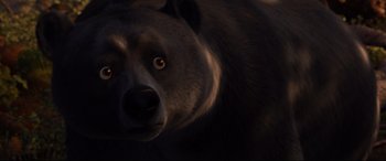 Movie still from “Brave” (2012), directed by Steve Purcell – A brown bear's face in the dark; Extreme Close Up shot, High angle