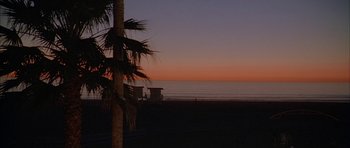 Movie still from “Breakin' All the Rules” (2004), directed by Daniel Taplitz – A palm tree on the beach at sunset; Extreme Wide shot, High angle