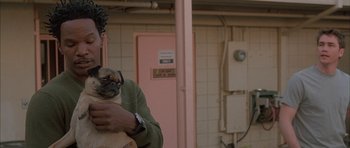 Movie still from “Breakin' All the Rules” (2004), directed by Daniel Taplitz – A man holding a small dog in his arms; Close Up shot, Over the shoulder angle