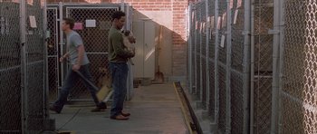 Movie still from “Breakin' All the Rules” (2004), directed by Daniel Taplitz – A man holding a dog in his arms in a fenced in area; Wide shot, High angle