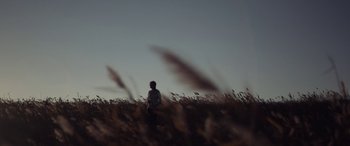 Movie still from “Breathe” (2014), directed by Mélanie Laurent – A person is standing in a field of tall grass; Extreme Wide shot, Low angle