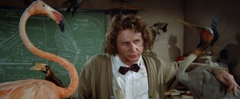 Movie still from “Brewster McCloud” (1970), directed by Robert Altman – A man with a beard and a bow tie in front of a chalkboard; Medium shot, Over the shoulder angle