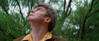 Movie still from “Brewster McCloud” (1970), directed by Robert Altman – A person looking up at the sky; Close Up shot, Low angle