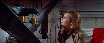 Movie still from “Brewster McCloud” (1970), directed by Robert Altman – A woman looking at a black bird on a perch; Medium shot, Low angle