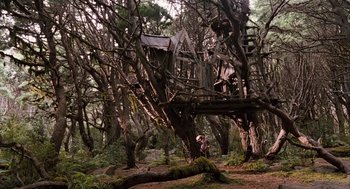 Movie still from “Bridge to Terabithia” (2007), directed by Gabor Csupo – A person standing in a tree house; Extreme Wide shot, Low angle