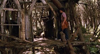 Movie still from “Bridge to Terabithia” (2007), directed by Gabor Csupo – A man standing on top of a tree in the middle of a forest; Wide shot, Low angle