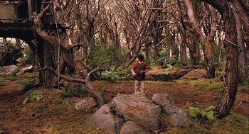 Movie still from “Bridge to Terabithia” (2007), directed by Gabor Csupo – A man standing on a rock in the middle of a forest; Wide shot, High angle
