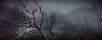 Movie still from “Brigadoon” (1954), directed by Vincente Minnelli – A tree in the middle of a foggy field; Extreme Wide shot, Low angle