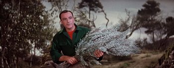 Movie still from “Brigadoon” (1954), directed by Vincente Minnelli – A man in a green shirt holding a bunch of plants; Medium shot, Low angle