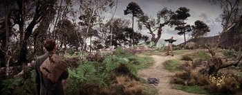 Movie still from “Brigadoon” (1954), directed by Vincente Minnelli – A dirt path through a wooded area with ferns; Extreme Wide shot, High angle