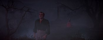 Movie still from “Brigadoon” (1954), directed by Vincente Minnelli – A man and a woman standing in the dark; Wide shot, Low angle