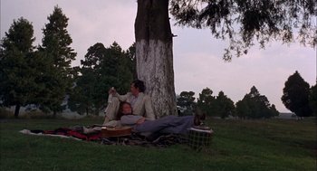 Movie still from “Bring Me the Head of Alfredo Garcia” (1974), directed by Sam Peckinpah – A man sitting on a blanket under a large tree; Wide shot, Low angle