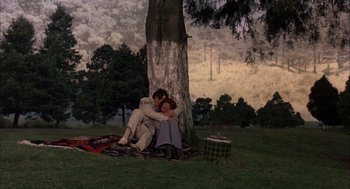 Movie still from “Bring Me the Head of Alfredo Garcia” (1974), directed by Sam Peckinpah – A man and a woman sitting on a blanket under a tree; Wide shot, High angle