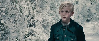 Movie still from “The Book Thief” (2013), directed by Brian Percival – A boy in a green jacket standing in front of a tree; Close Up shot, High angle