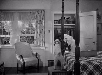 Movie still from “Bringing Up Baby” (1938), directed by Howard Hawks – Two dogs in a room with a four poster bed; Wide shot, High angle