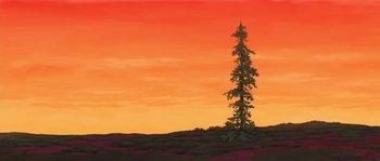 Movie still from “Brother Bear” (2003), directed by Robert Walker – A lone tree stands on top of a hill at sunset; Extreme Wide shot, Low angle