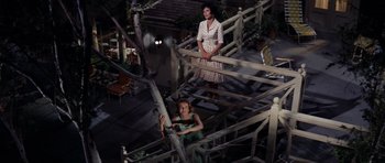 Movie still from “Bye Bye Birdie” (1963), directed by George Sidney – Two women are standing on a set of stairs; Wide shot, High angle