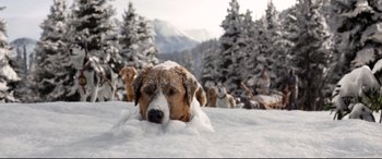 Movie still from “The Call of the Wild” (2020), directed by Chris Sanders – A brown and white dog laying in the snow; Wide shot, Low angle