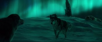 Movie still from “The Call of the Wild” (2020), directed by Chris Sanders – A dog is walking in the snow near the aurora borealis; Wide shot, High angle